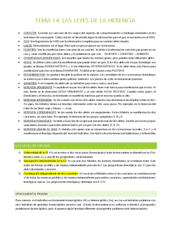 BLOQUE-III-GENETICA.pdf