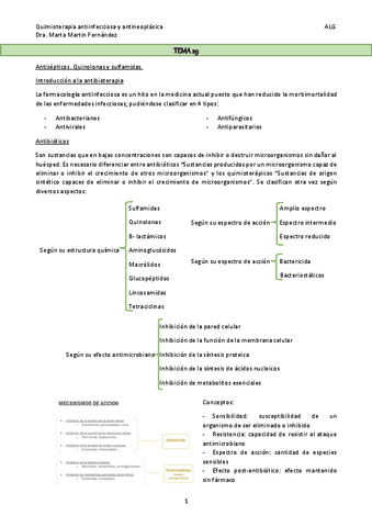 TEMA-29.pdf