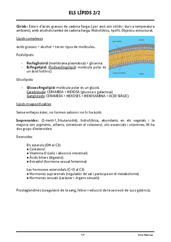 ELS-LIPIDS-22.pdf