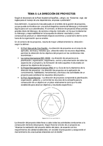 TEMA-5-PROYECTOS.pdf