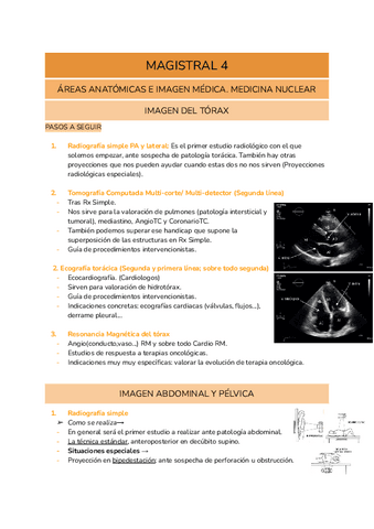 MAGISTRAL-4.pdf