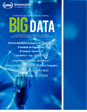 Resumen-ejecutivo-del-congreso-internacional-BIG-DATA-Katterine-Martinez.pdf