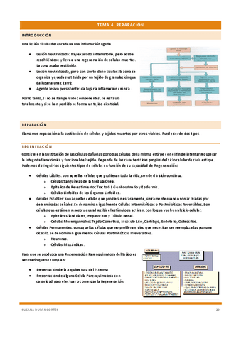 Documento-114removed-5.pdf