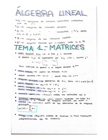 APUNTES-ALGEBRA-COMPLETOS.pdf