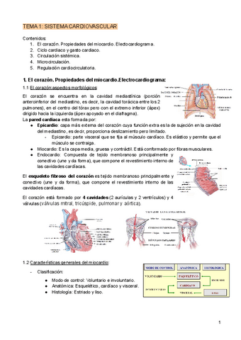 TEMA-1-SISTEMA-CARDIOVASCULAR.pdf