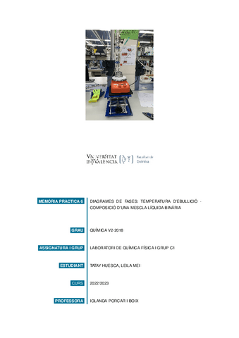 MEMRIAP6LEILAMEI.pdf