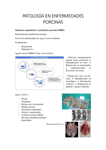 MALALTIES-PER-ESPECIES.pdf