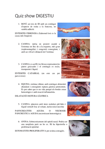 Repas-lesions-digestives.pdf