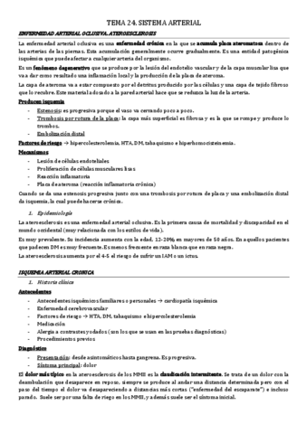 tema-24.pdf