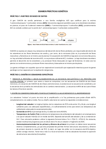 EXAMEN-PRACTICAS-GENETICA.pdf