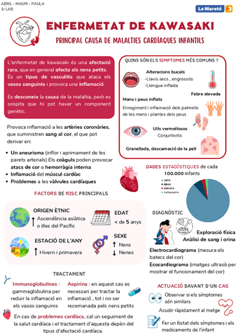 ENFERMETAT-DE-KAWASAKI.pdf