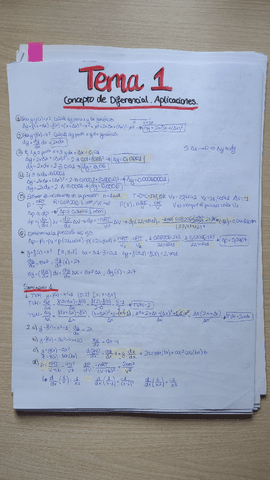 Ejercicios-y-seminarios-resueltos.pdf