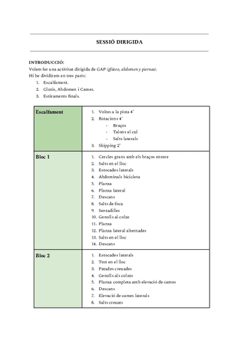 Educacio-fisica-Activitat-dirigida.pdf
