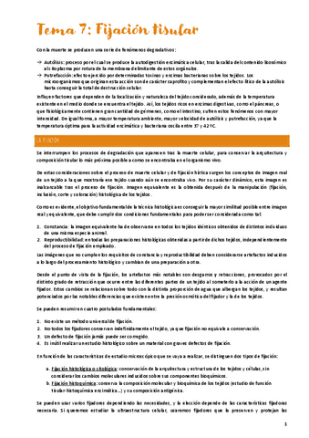 Tema 7 - Fijación