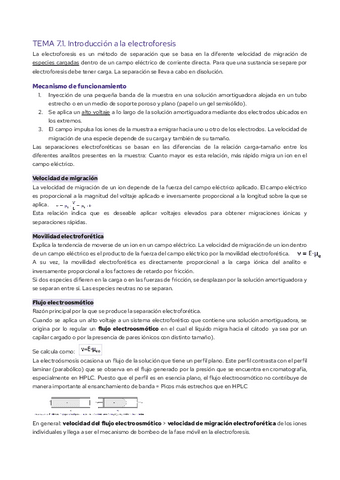 TEMA-7-Electroforesis.pdf