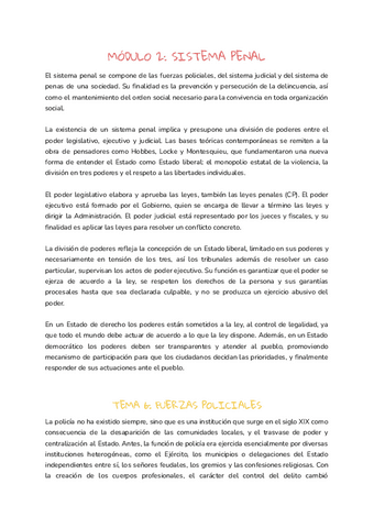 Modulo-2-penal.pdf
