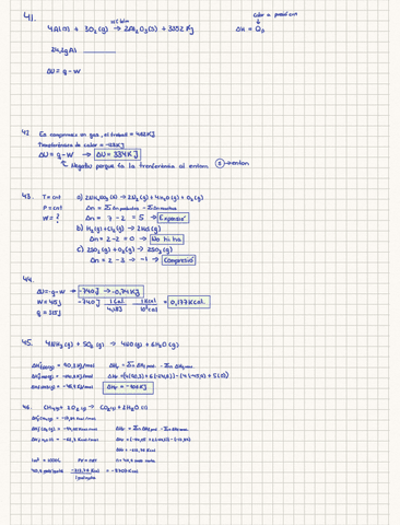 Termo-quimica.pdf