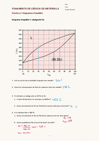 FCM-Questionari-P4.pdf