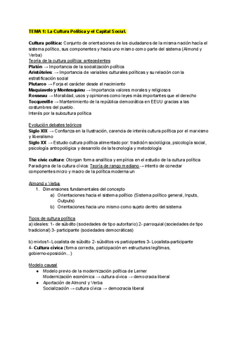 APUNTES-CULTURA-Y-COMPORTAMIENTO-POLITICO-1.pdf
