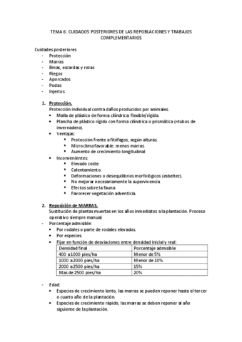 TEMA-6.pdf