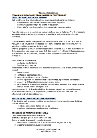 TEMA-16-Derecho-Procesal-Penal.pdf