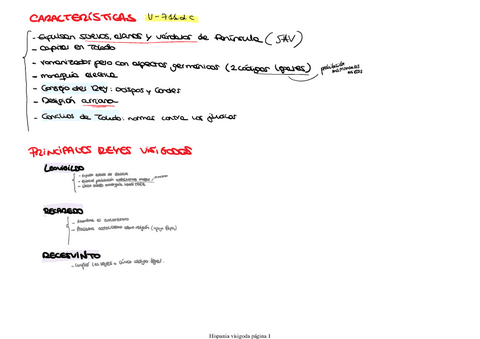 HISPANIA-VISIGODA.pdf