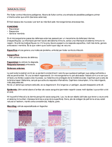 IMMUNO.pdf