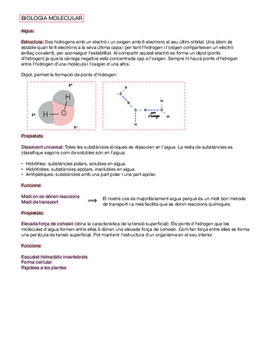Biologia-molecular-II.pdf