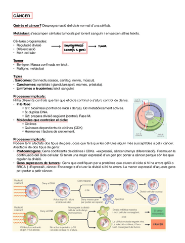Cancer.pdf