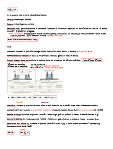 REDOX-II.pdf