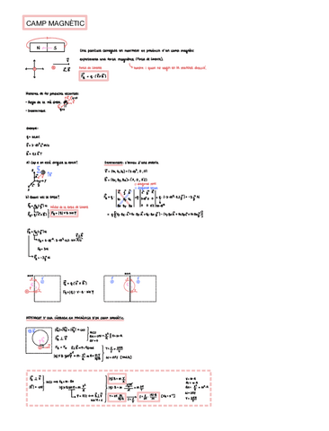 Camp-magnetic-.pdf