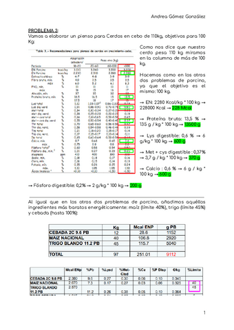 TEMA-33--problema-3-.pdf