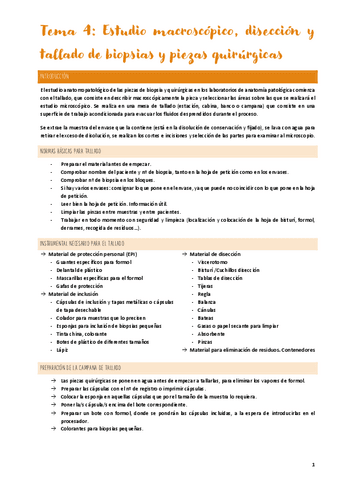 Tema-4-Macroscopicos-y-Tallado-APUNTES.pdf