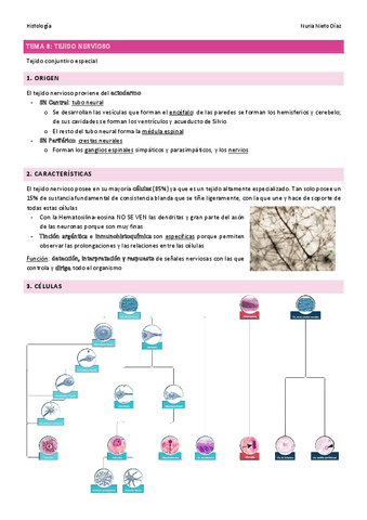 TEMA-8-Tejido-nervioso.pdf