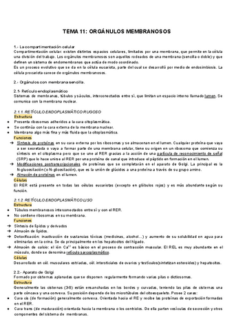 TEMA-11-Organulos-membranosos.pdf