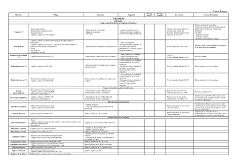 Tabla-de-musculos.pdf