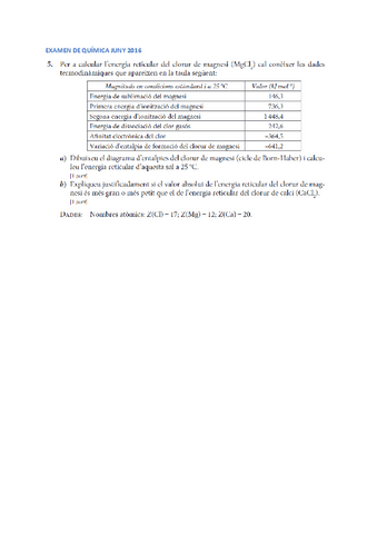 PAU-TERMO.pdf