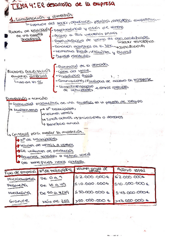 Tema-4-El-desarrolo-de-la-empresa.pdf