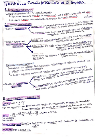 Tema-5-La-funcion-productiva-de-la-empresa.pdf