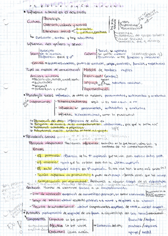 tema-4-psicologia-social-resumen-esquema.pdf