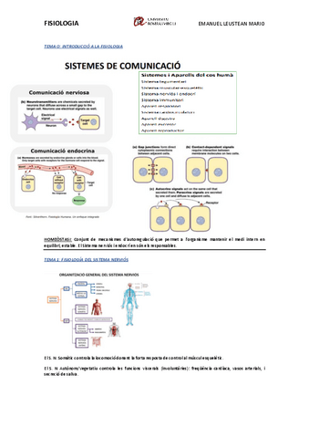 Fisiologia-SISTEMA-NERVIOS.pdf