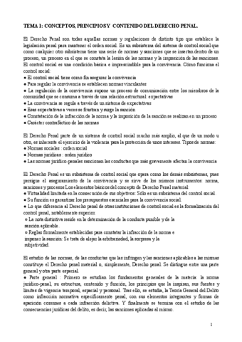 207-Derecho-Penal-I-2.pdf