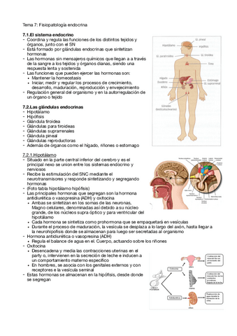 Tema-7-fisio.pdf