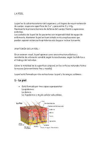 La-piel-anejos-cutaneos-y-funciones-de-la-piel.pdf