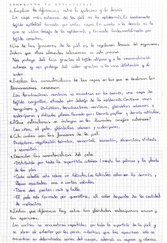 Actividades-de-la-Piel.pdf