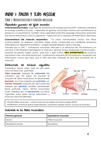 UNIDAD-I-TEJIDO-MUSCULAR.pdf