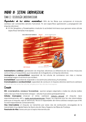 UNIDAD-III-SISTEMA-CARDIOVASCULAR-1.pdf