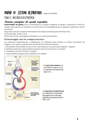 UNIDAD-IV-SISTEMA-RESPIRATORIO-1.pdf