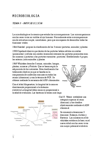 APUNTES-DE-MICRO-PDF.pdf