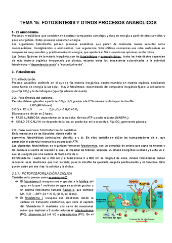 TEMA-15-Fotosintesis.pdf